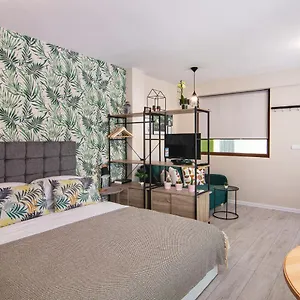 The Cozy Studio, Centre Warna